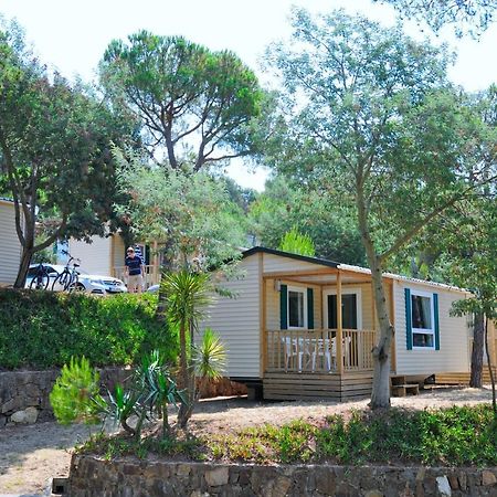 Camping Treumal Otel Sant Antoni De Calonge Dış mekan fotoğraf