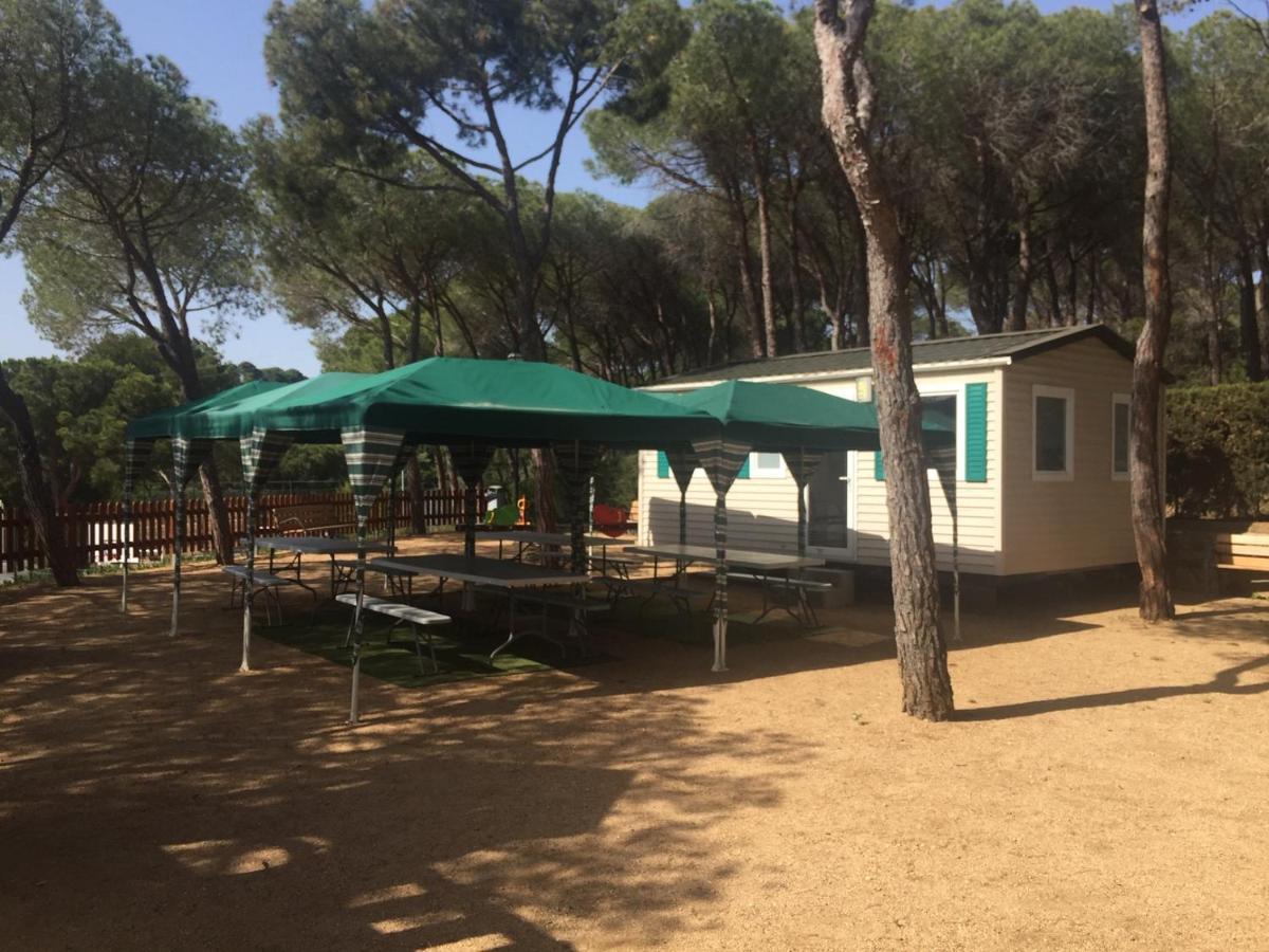 Camping Treumal Otel Sant Antoni De Calonge Dış mekan fotoğraf